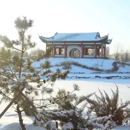 无法触碰的掌心全解锁版免费：畅享无限可能，体验心灵深处的故事与情感