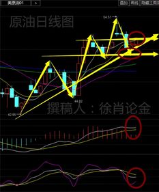 今晚上澳门特马必中一肖4|综合分析解释落实_战略款.4.975